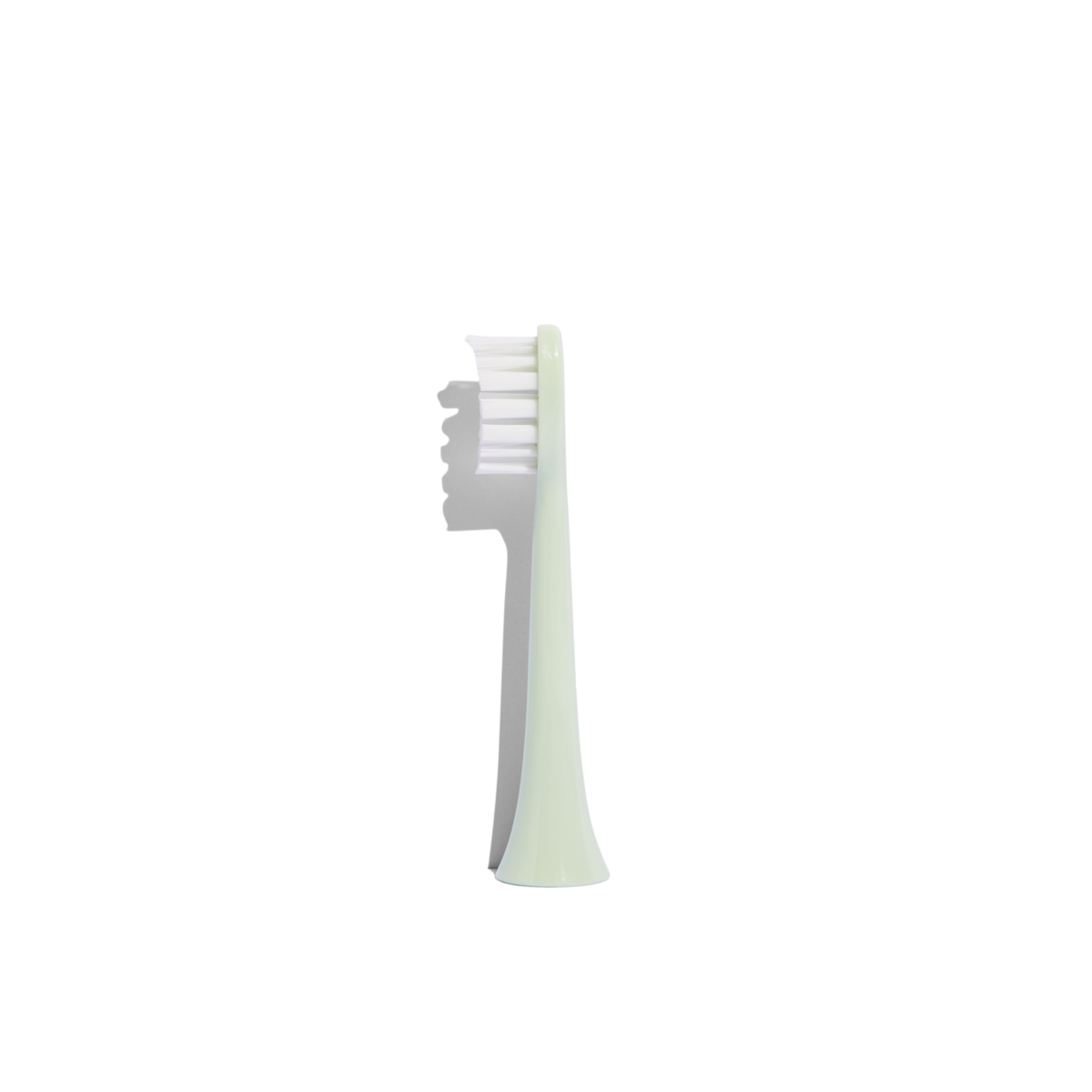 Electric Toothbrush Replacement Heads: Mint